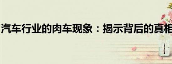 汽车行业的肉车现象：揭示背后的真相与挑战