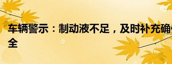 车辆警示：制动液不足，及时补充确保行车安全