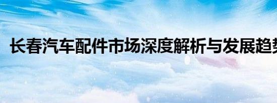 长春汽车配件市场深度解析与发展趋势展望