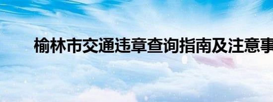 榆林市交通违章查询指南及注意事项