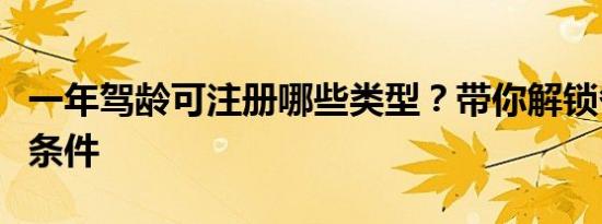 一年驾龄可注册哪些类型？带你解锁各种资格条件