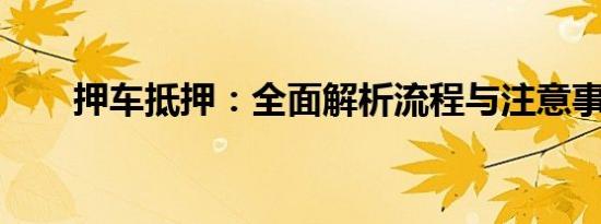 押车抵押：全面解析流程与注意事项