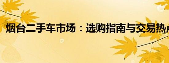 烟台二手车市场：选购指南与交易热点解析