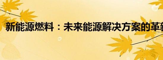 新能源燃料：未来能源解决方案的革新力量