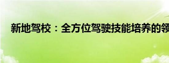 新地驾校：全方位驾驶技能培养的领先者