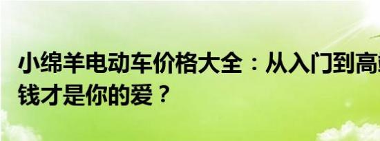 小绵羊电动车价格大全：从入门到高端，多少钱才是你的爱？