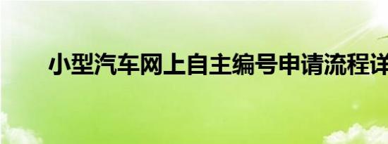 小型汽车网上自主编号申请流程详解