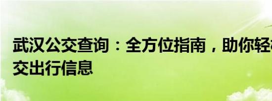 武汉公交查询：全方位指南，助你轻松掌握公交出行信息