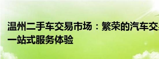 温州二手车交易市场：繁荣的汽车交易生态与一站式服务体验