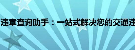 违章查询助手：一站式解决您的交通违规问题