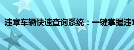 违章车辆快速查询系统：一键掌握违章信息