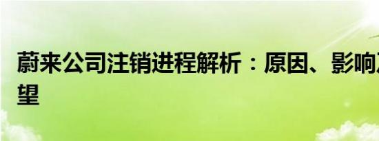 蔚来公司注销进程解析：原因、影响及后续展望