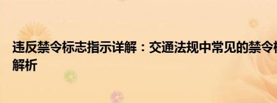 违反禁令标志指示详解：交通法规中常见的禁令标志与行为解析