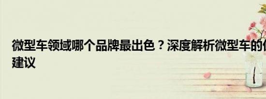 微型车领域哪个品牌最出色？深度解析微型车的优势与选择建议