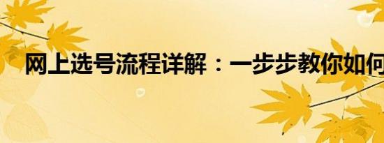 网上选号流程详解：一步步教你如何操作