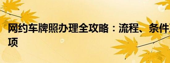 网约车牌照办理全攻略：流程、条件及注意事项