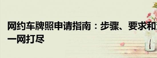 网约车牌照申请指南：步骤、要求和注意事项一网打尽