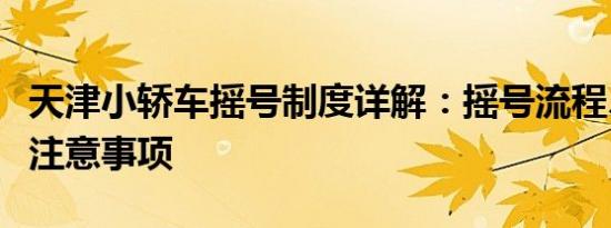 天津小轿车摇号制度详解：摇号流程、技巧与注意事项