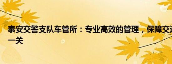 泰安交警支队车管所：专业高效的管理，保障交通安全的第一关