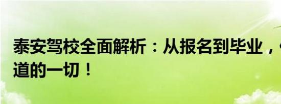 泰安驾校全面解析：从报名到毕业，你需要知道的一切！