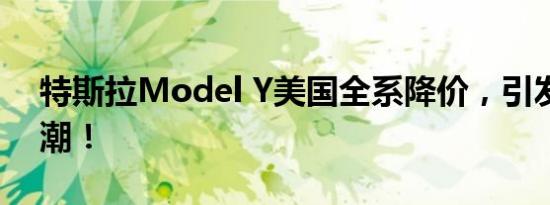 特斯拉Model Y美国全系降价，引发购车热潮！