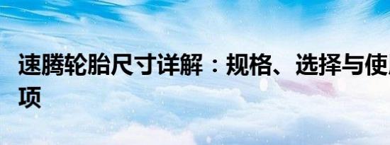 速腾轮胎尺寸详解：规格、选择与使用注意事项