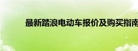 最新踏浪电动车报价及购买指南