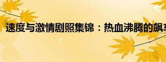 速度与激情剧照集锦：热血沸腾的飙车瞬间