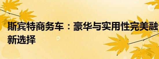 斯宾特商务车：豪华与实用性完美融合的商务新选择