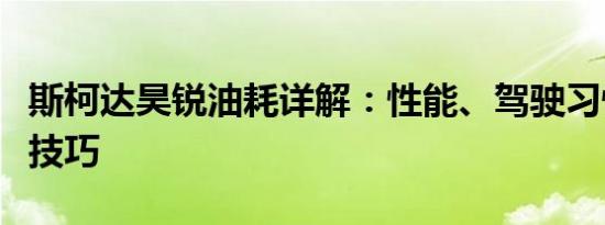 斯柯达昊锐油耗详解：性能、驾驶习惯与节能技巧