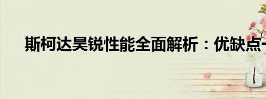 斯柯达昊锐性能全面解析：优缺点一览