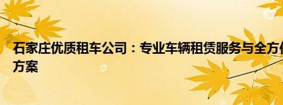 石家庄优质租车公司：专业车辆租赁服务与全方位出行解决方案