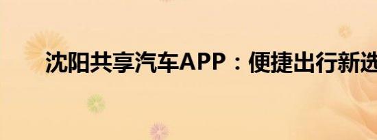 沈阳共享汽车APP：便捷出行新选择