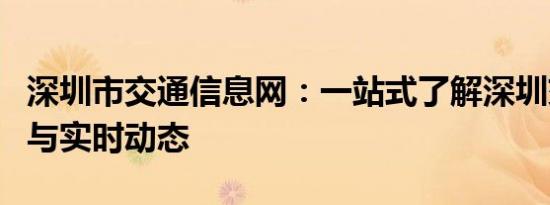 深圳市交通信息网：一站式了解深圳交通规划与实时动态