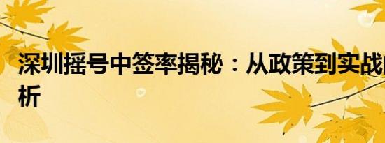 深圳摇号中签率揭秘：从政策到实战的全面解析