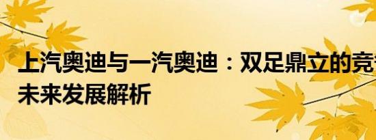 上汽奥迪与一汽奥迪：双足鼎立的竞争格局及未来发展解析