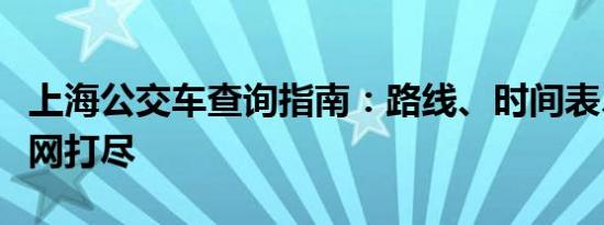 上海公交车查询指南：路线、时间表、票价一网打尽