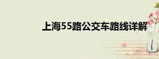 上海55路公交车路线详解