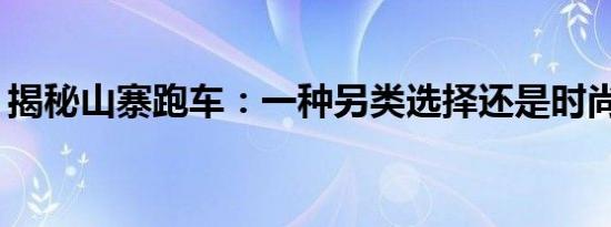 揭秘山寨跑车：一种另类选择还是时尚风险？