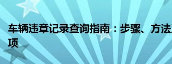 车辆违章记录查询指南：步骤、方法及注意事项